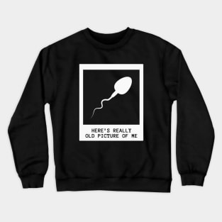 Funny Offensive Adult Humor, Here’s really old picture of me. Crewneck Sweatshirt